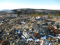 Toppen av Bjørsjøkletten og bort mot Granåsen