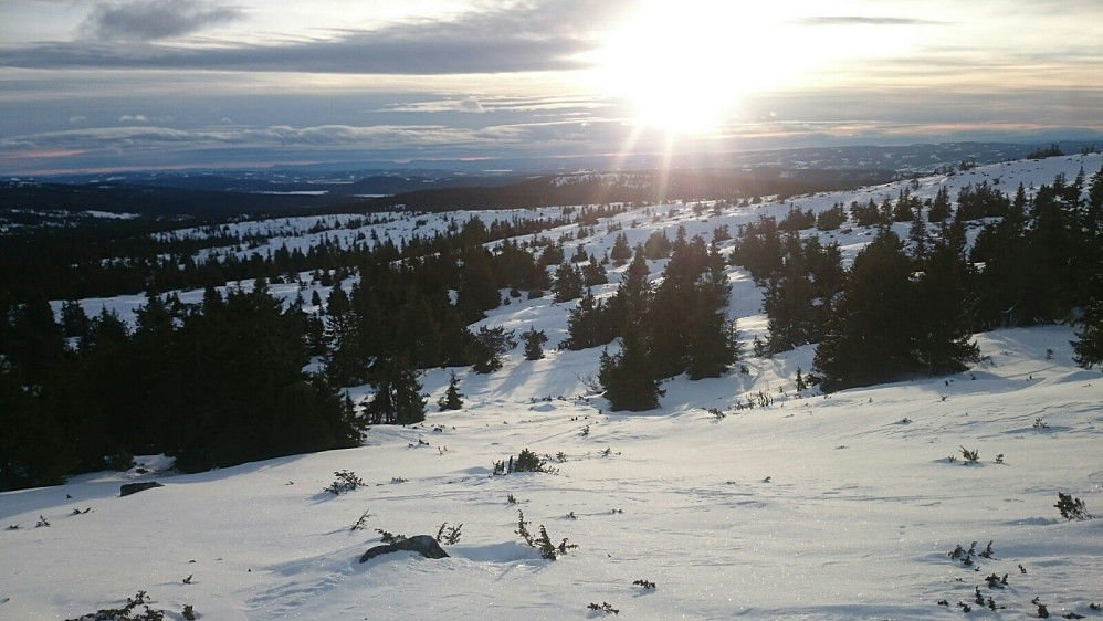Flott utsikt litt opp i fjellsia
