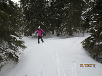 Litt jobbing i skogen for å komme frem