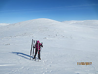 Oppe på ryggen var det hard snø og kraftig vind, så vi satte igjen skiene og gikk til fots siste biten opp