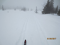 I starten fulgte jeg sporet etter 2 stk som hadde gått på Rando ski
