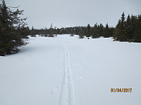 Lengre opp kom jeg igjen inn på sporet etter Rando skiene.