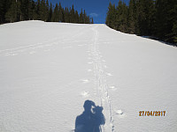 Lengre opp var det løs snø og godt å kunne gå i sporet etter andre