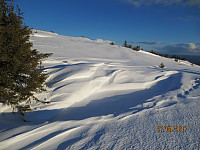 På fjellet var det store snøfonner bak alle trær