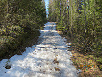 Stien var delvis dekke med snø og is