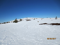 Det bar bra oppe på fjellet. Noen barflekker har kommet frem av snøen