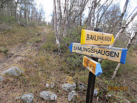 Nok et stikryss med skilt