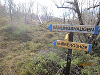 Utrolig mye stikryss og skilt i skogen her...