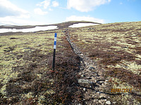 Oppe på fjellet var det slutt på skiltinga, men stien var godt merket med påler. Jeg følte meg trygg på at jeg ikke ville gå meg bort på denne turen...