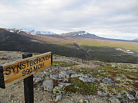 Siste lille toppen med Dovrebanen i bakgrunnen,  som forsvinner inn i tunnelen i skogen