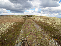 Lett å sykle oppe på ryggen av fjellet
