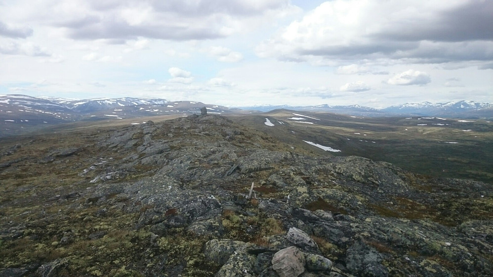 Toppen av Skardhøi og tilbake mot Ståkåhøe
