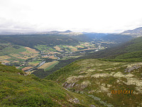 Panoramautsikt ned mot Dovreskogen