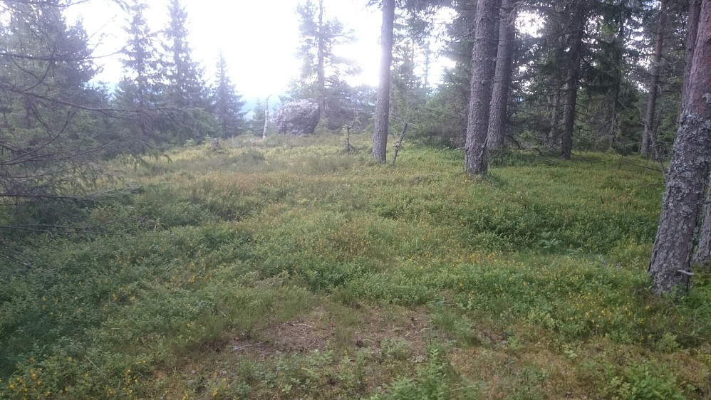 Flat topp med begrenset utsikt