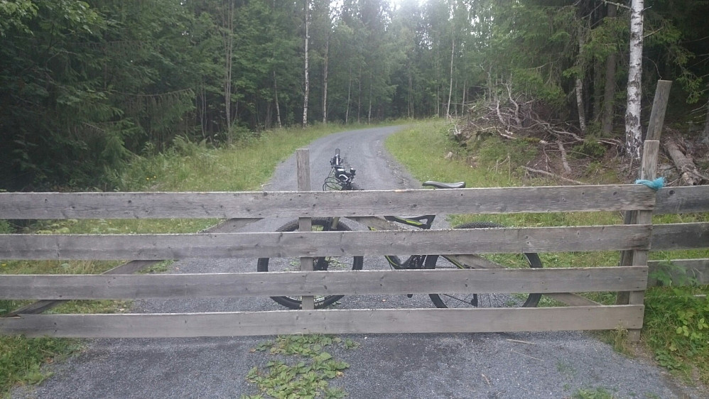 Grinda øverst i Besserud var stengt, da det er mye kyr på beite her oppe
