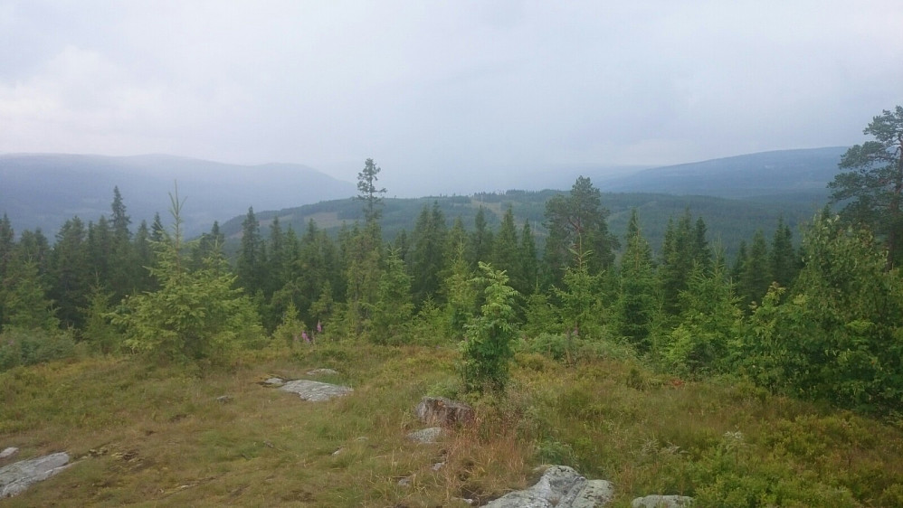Jeg fikk en skikkelig regnskur på tur opp, og når jeg kom opp, hadde regnskuren forflyttet seg opp mot Øyer