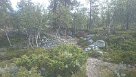 Tydelig sti i skogen det turen starter