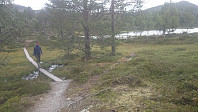 Det var lagt ut klopper i myra, så man kunne gå tørrskodd