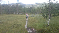 Klopper i myra også på stien vi gikk ned igjen