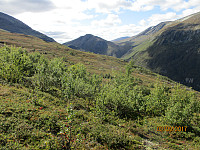 Vi valgte å gå Pilgrimsleden opp mot fjellet, og fikk fritt utsyn opp på Høgsnyta som vi hadde planer om å bestige neste dag