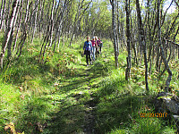 Returen gikk på samla rekke ned skogen