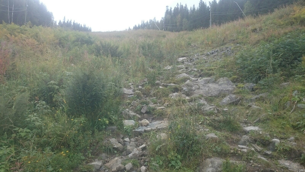 Etter å ha rådført meg med noen lokale folk jeg traff, valgte jeg stien rett opp alpinbakken