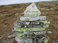 Minnestein etter Ole Jens Imsdalen som omkom her en maidag i 1835.