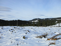 Fra toppen og bort på Landskampen med Skeikampen i bakgrunnen