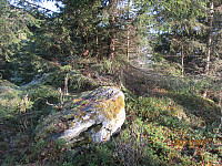 Det så ut som denne steinen var det høyeste punktet på Høgberget