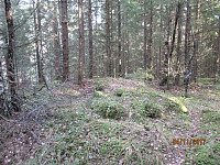 Etter å ha gått litt på sti og litt i terrenget kom jeg opp på Høgberget Vest, som ikke bød på noen utsikt på grunn av tett skog 