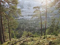 Utsikt fra Langberga og ned i Skarsmoen, hvor det så kaldt ut der sola ikke nådde ned