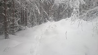 Gikk på et par elger, men det ble bilde kun av sporene. De gikk litt raskere enn meg i løssnøen.