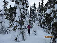 Utrolig flott i skogen i dag