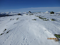 Toppen av Rundhø, som ble turens siste topp