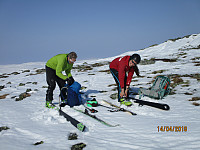 Tingeling med følge gjør seg klar til å ake sammen med oss ned fra Søre Gråhøa