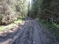 Tungt å sykle på veien her som er ødelagt etter skogdrift i fjor sommer