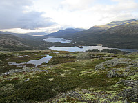 Flott utsikt både opp og ned dalen fra toppen av Bjørnahøe