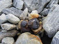 Fant disse stein/metall klumpene i steinura. Meteoritt kanskje?