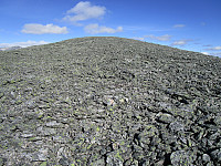 Søre Mjogshøe var en endeløs stor steinhaug