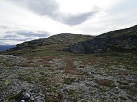 Oppe på å Brennhø var det et stykke å gå bort til selve toppunktet