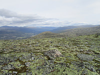 Ned mot turens første topp, Brennhø