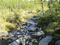 Inne i skogen måtte jeg av sykkelen mange steder, da det var litt vel rufsete forhold for sykling
