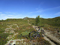 Oppe av skogen ble det helt andre forhold, her med Solskiva i bakgrunnen