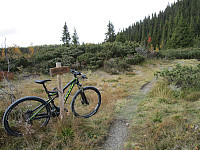 Sykkelen ble låst ved Ormtjønnsetra hvor jeg tok beina fatt opp mot fjellet