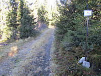 Turen startet på kjerrevei, men etter noen hundre meter tok jeg av gjennom skogen 