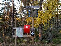 Jeg fikk liv i telefonen en siste gang på toppen av Piggen i det solstrålene fra den stigende sola lyste opp skogen