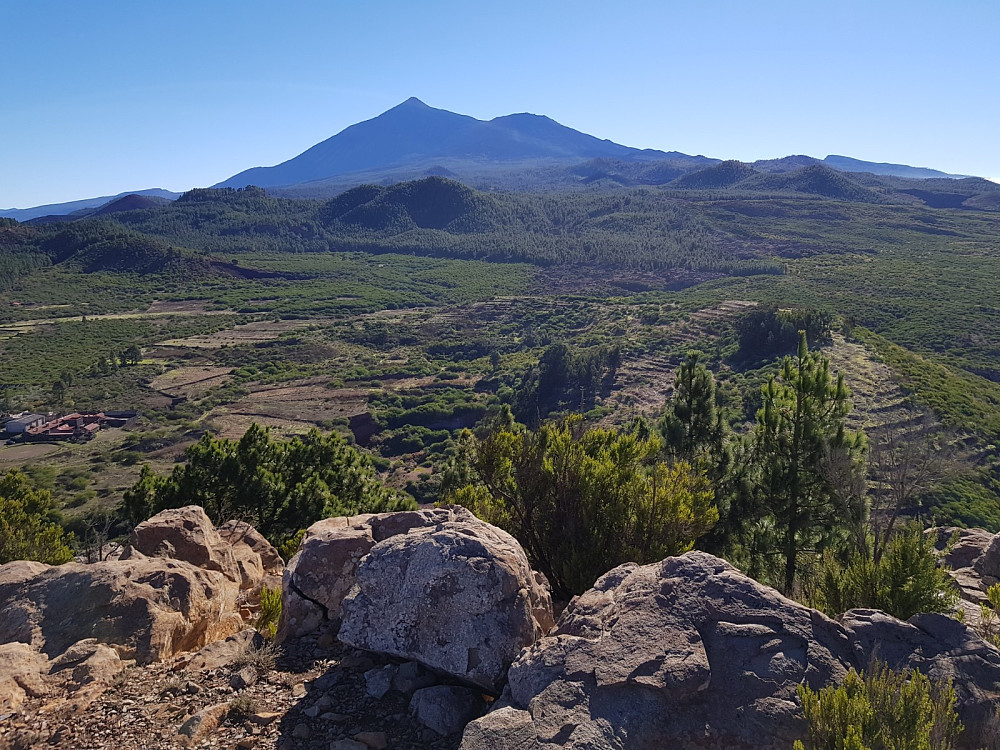 I dag var første dagen med klart vær, og nå kunne jeg se rett opp på Teide fra toppen av Montana de Tamaseche