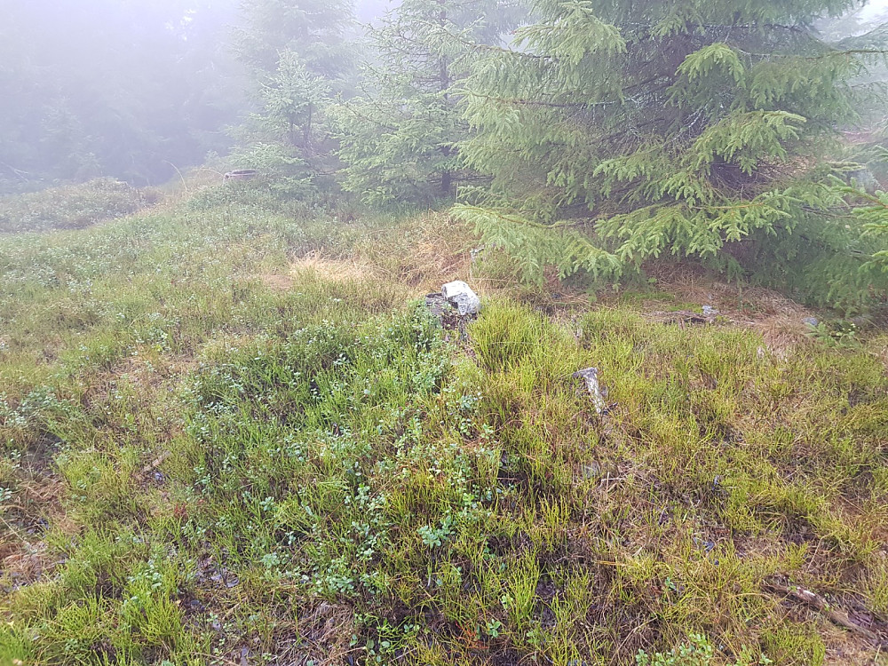 Eneste markeringen på toppen var en stein som var lagt opp på en stubbe