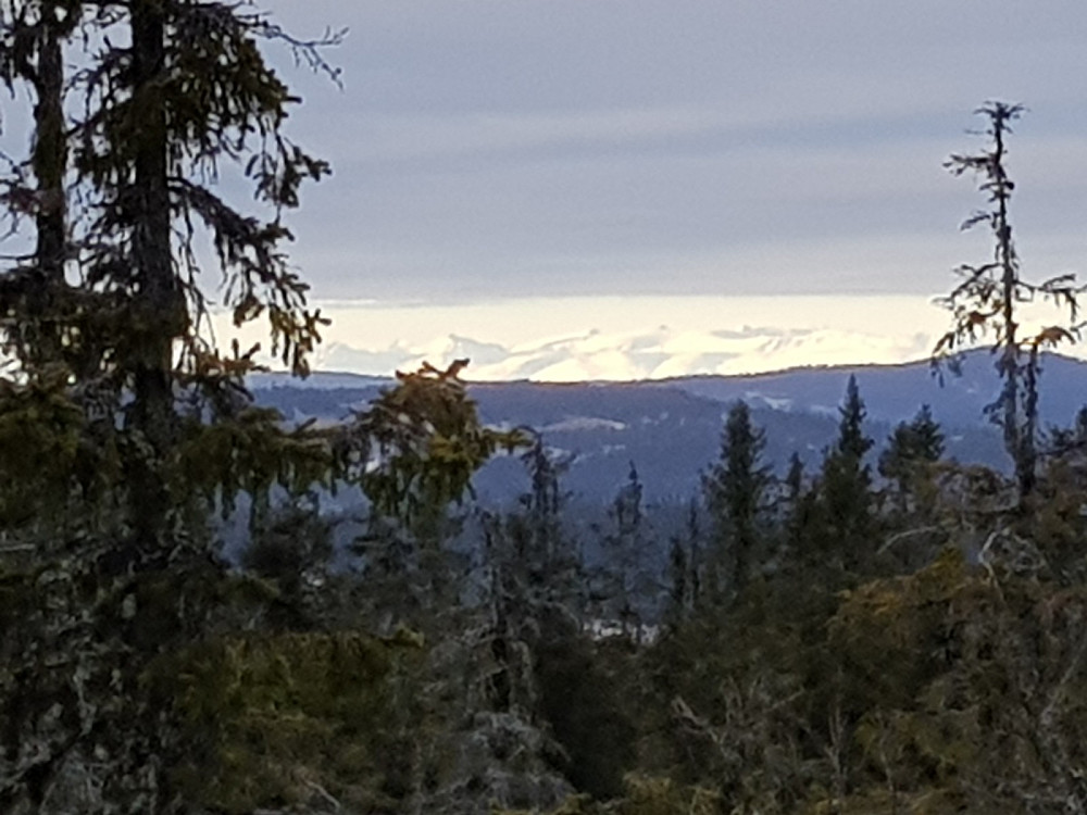 Jeg zoomet inn mot hvite fjell i Jotunheimen som lå i sola i dag