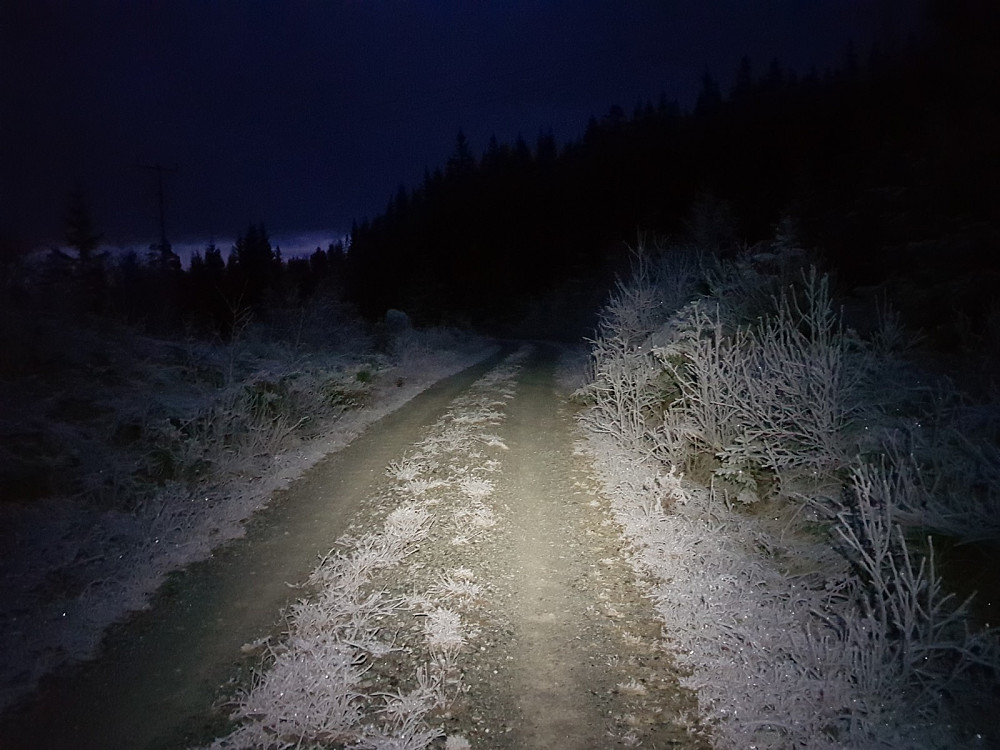 Jeg parkerte under kraftlinja og gikk noen meter på veien før jeg tok av inn i skogen